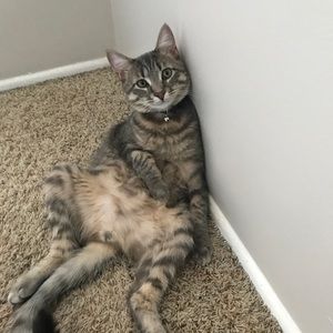 Meet your Posher, Eric